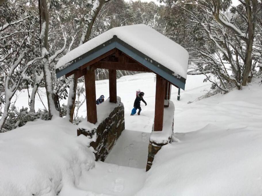 布勒山Affordable Skiing Mt Buller - 450M From Ski Lift公寓 外观 照片